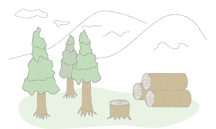  オクシズ産ヒノキによる癒しの空間